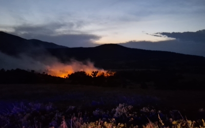 Ugasen požar na Korićini